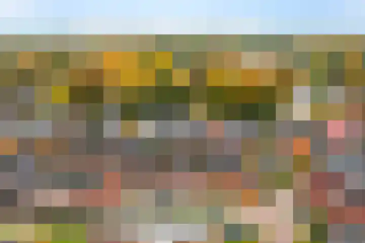 de Pirk 22 Vaassen thumbnail 29