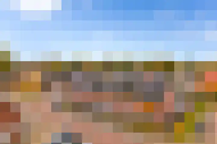 de Pirk 22 Vaassen thumbnail 30