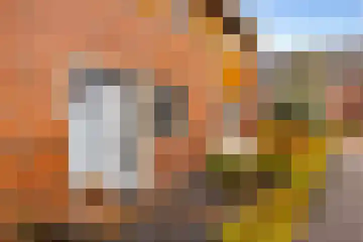 de Pirk 22 Vaassen thumbnail 6
