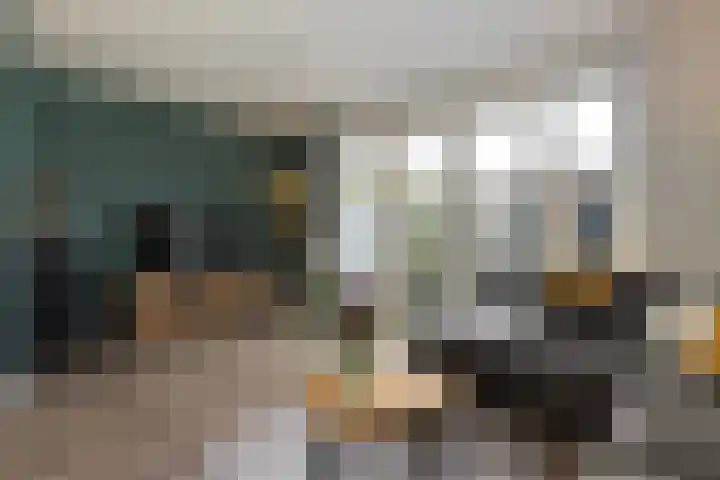 de Pirk 22 Vaassen thumbnail 9