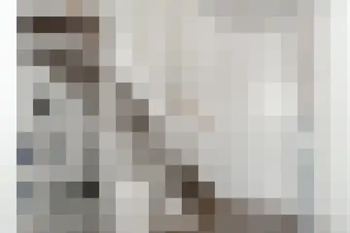 de Pirk 25 Vaassen thumbnail 26
