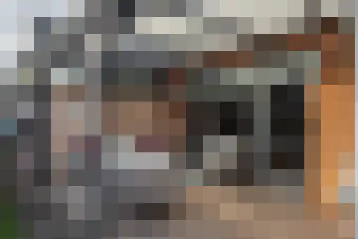 de Pirk 25 Vaassen thumbnail 33