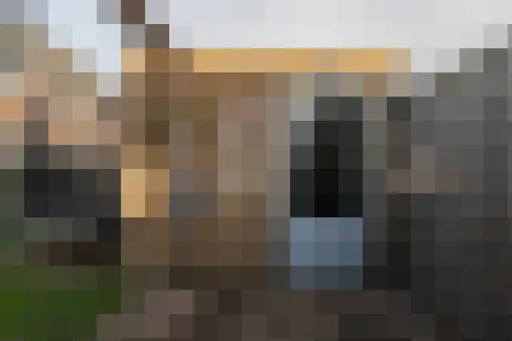 de Pirk 25 Vaassen thumbnail 36