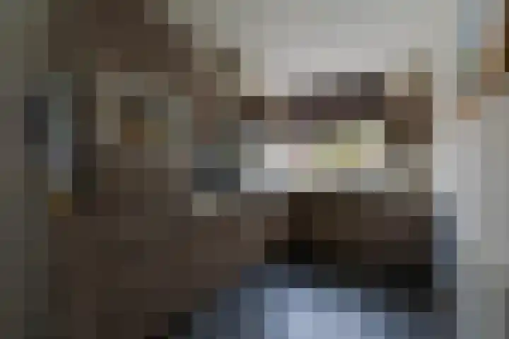 de Pirk 34 Vaassen thumbnail 11