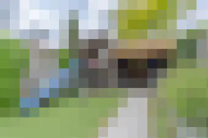 de Pirk 34 Vaassen thumbnail 16