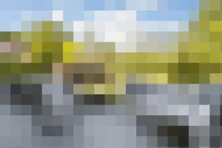 de Pirk 34 Vaassen thumbnail 24