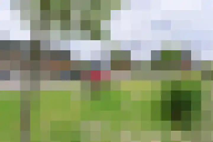 de Pirk 34 Vaassen thumbnail 32