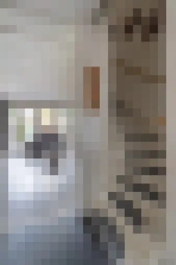de Pirk 34 Vaassen thumbnail 9