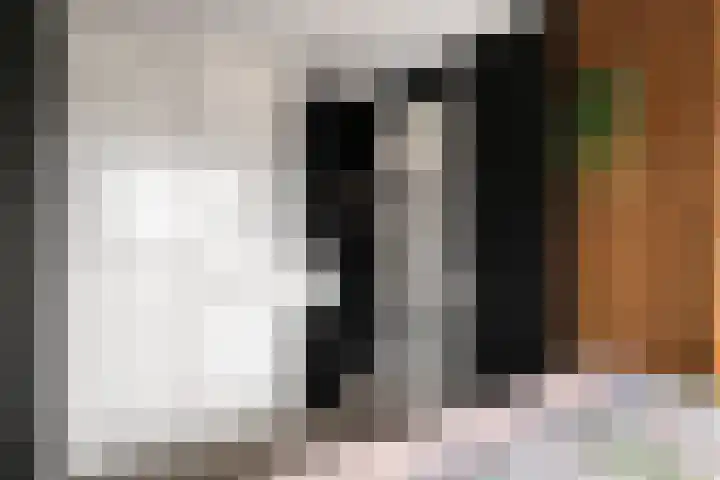 de Pirk 48 Vaassen thumbnail 10