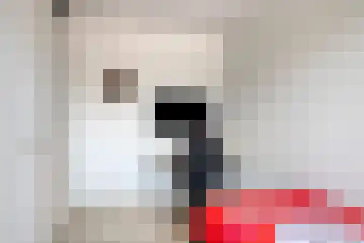 de Pirk 48 Vaassen thumbnail 14