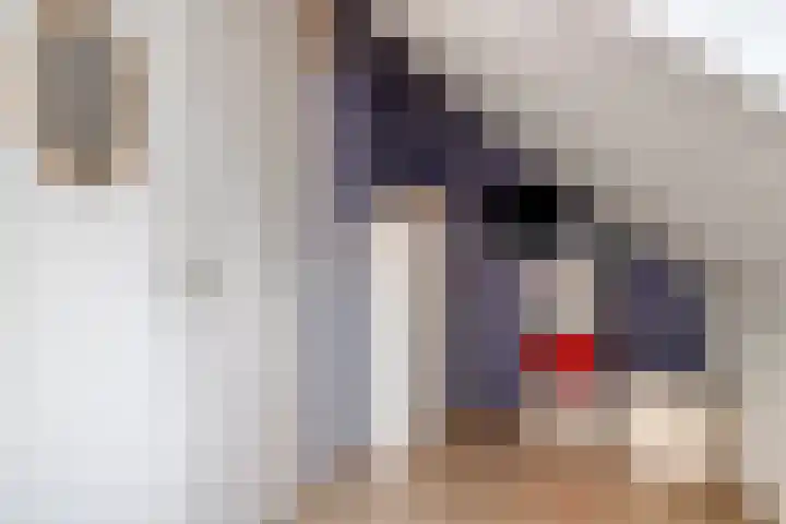 de Pirk 48 Vaassen thumbnail 18