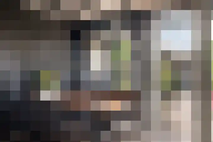 de Pirk 48 Vaassen thumbnail 21