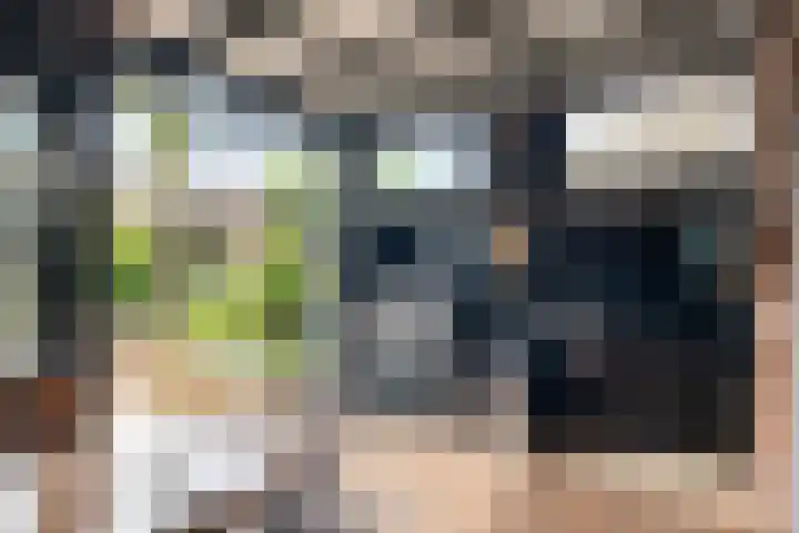 de Pirk 48 Vaassen thumbnail 24