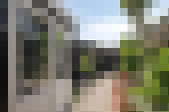 de Pirk 48 Vaassen thumbnail 25