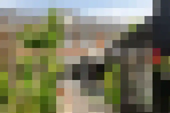 de Pirk 48 Vaassen thumbnail 26
