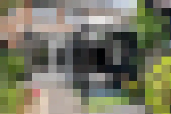 de Pirk 48 Vaassen thumbnail 27