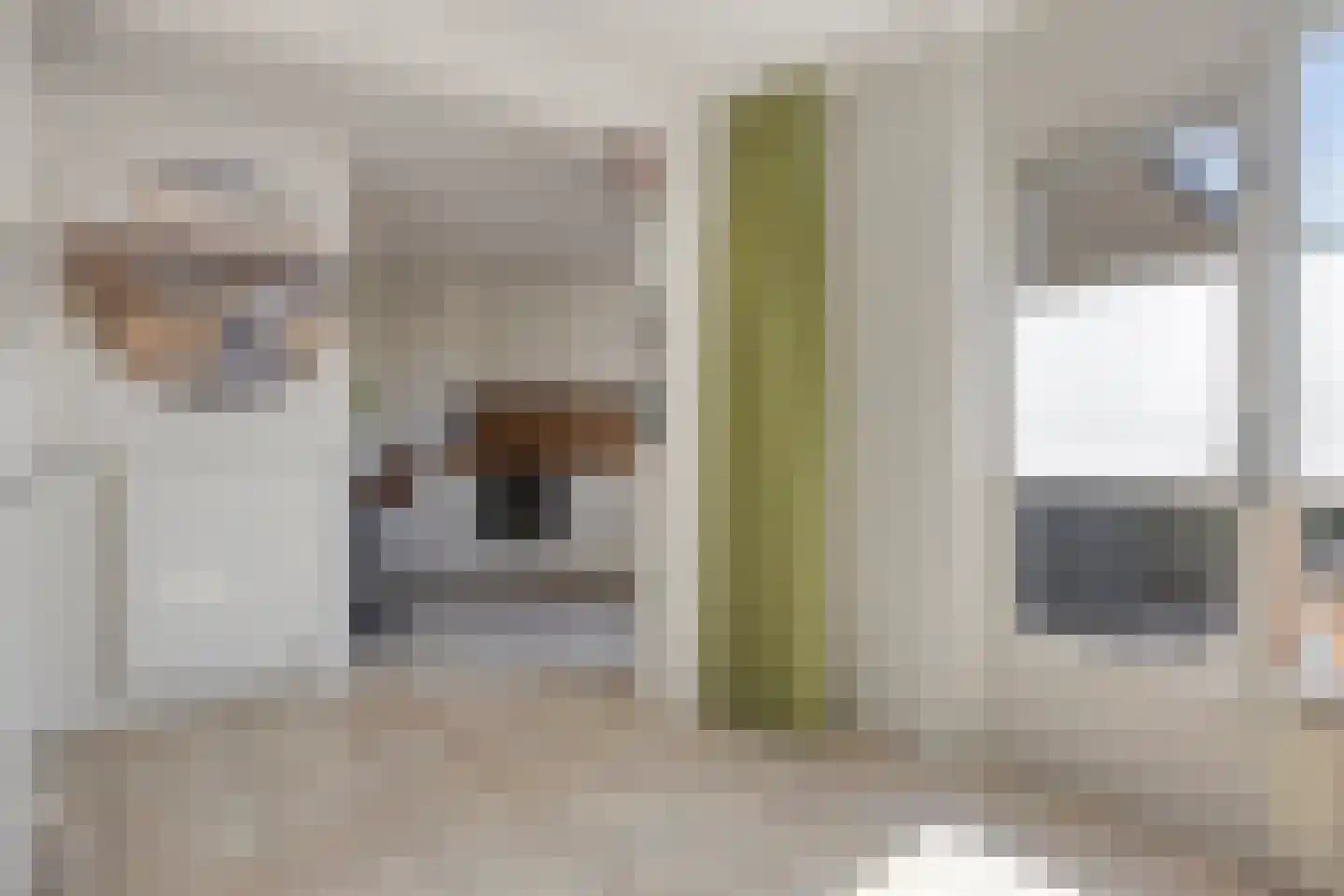 De Pirken 41 Leusden thumbnail 10