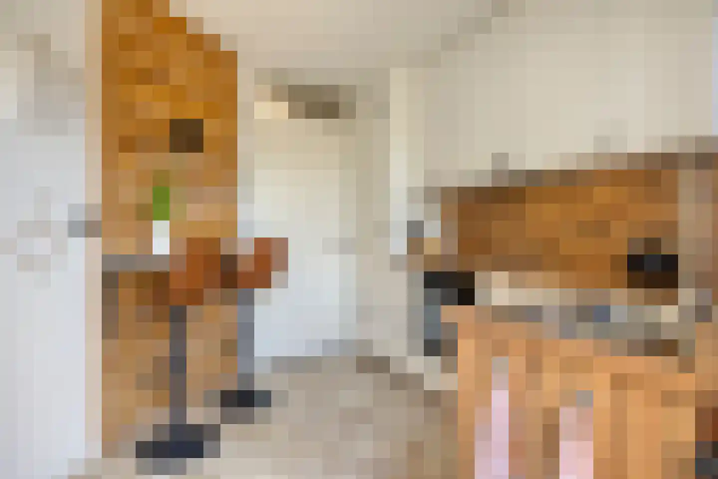 De Pirken 41 Leusden thumbnail 13