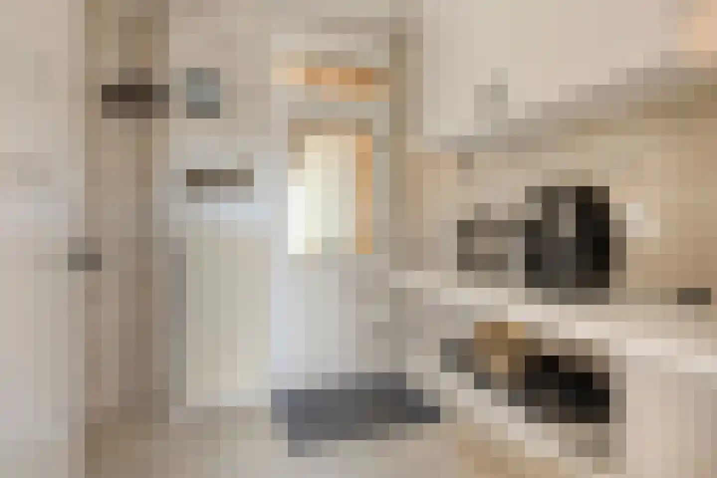 De Pirken 41 Leusden thumbnail 18