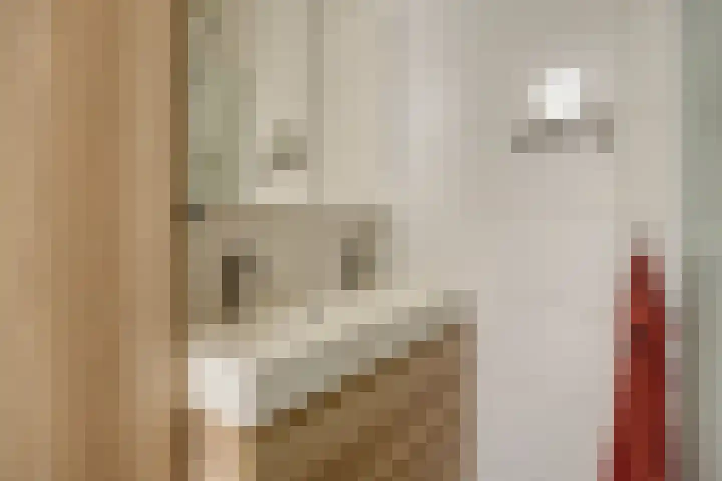 De Pirken 41 Leusden thumbnail 22