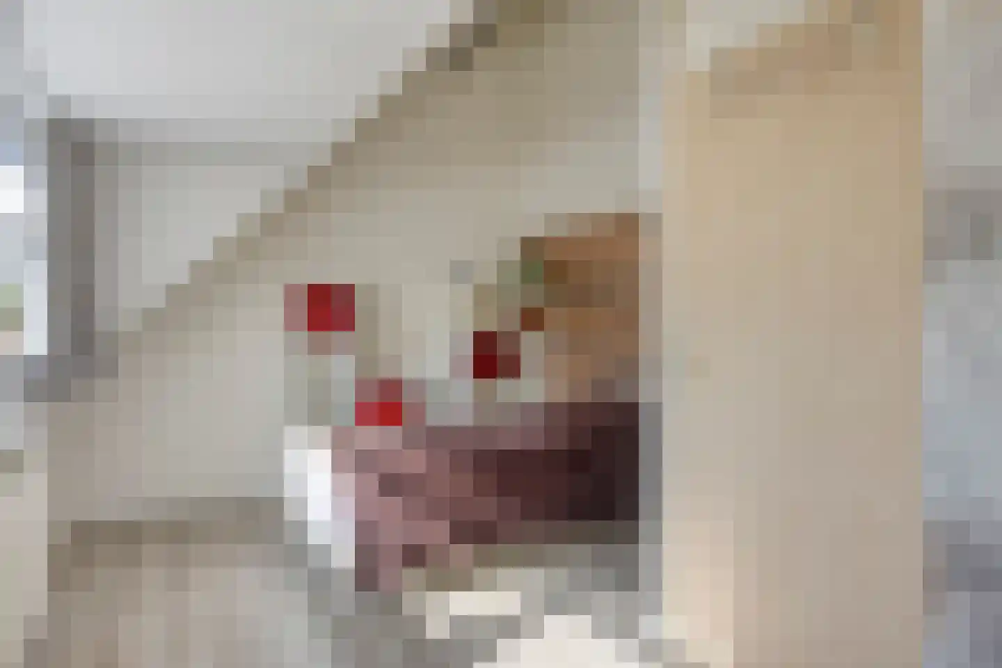 De Pirken 41 Leusden thumbnail 27