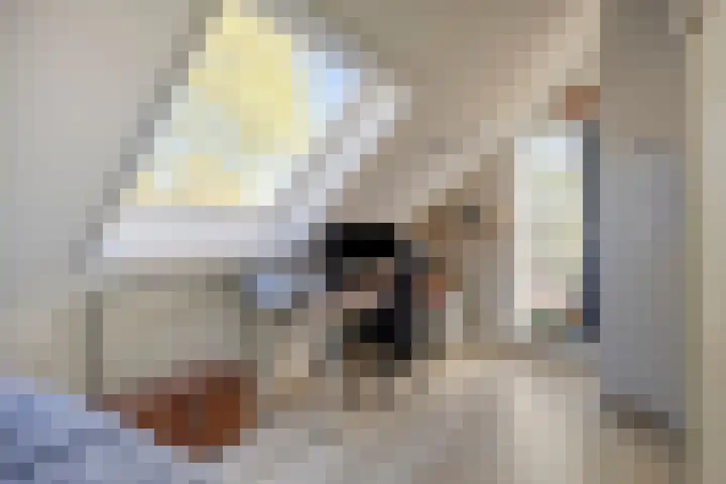 De Pirken 41 Leusden thumbnail 31