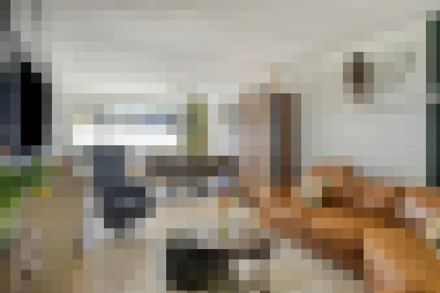 De Pirken 41 Leusden thumbnail 5
