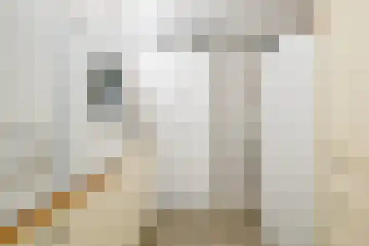 De Plaat 1 Opperdoes thumbnail 25