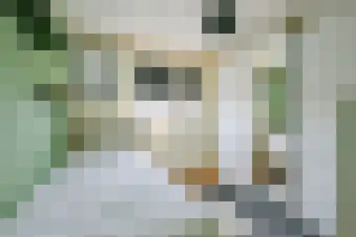 De Plaat 1 Opperdoes thumbnail 31