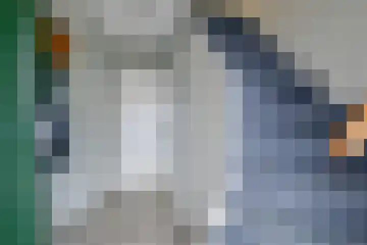 De Plaat 1 Opperdoes thumbnail 8