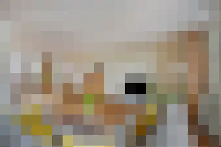 de Plaetse 160 Helmond thumbnail 10