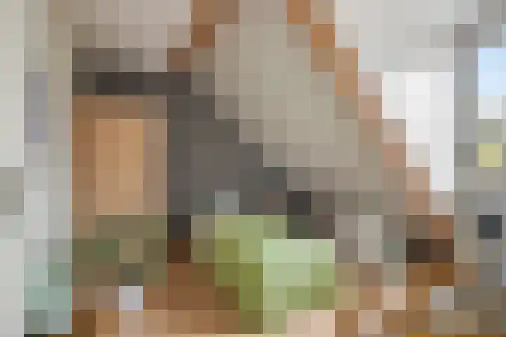 de Plaetse 160 Helmond thumbnail 17