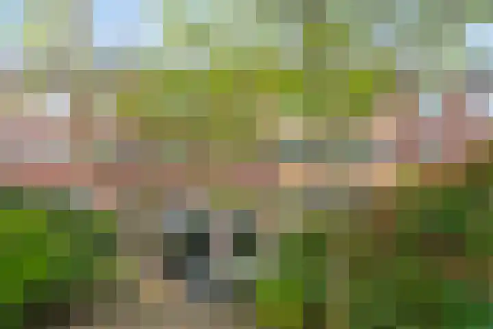 de Plaetse 160 Helmond thumbnail 21