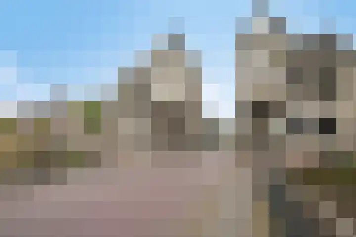 de Plaetse 160 Helmond thumbnail 25