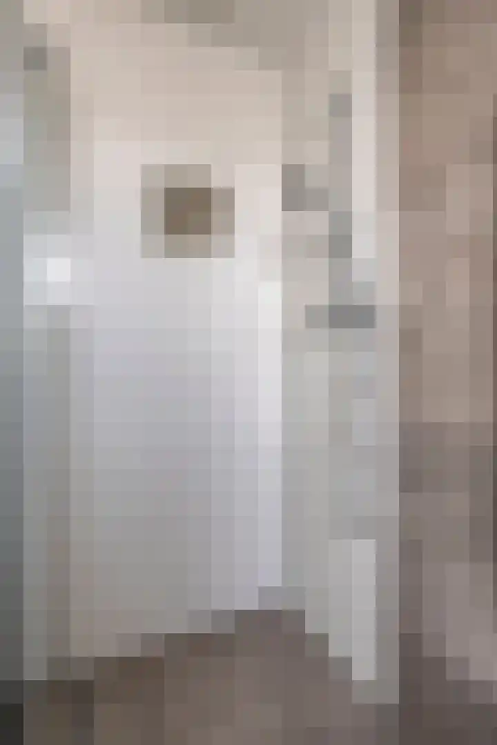 de Plaetse 186 Helmond thumbnail 22