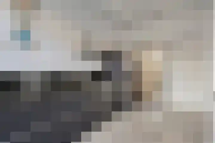 de Plaetse 186 Helmond thumbnail 8