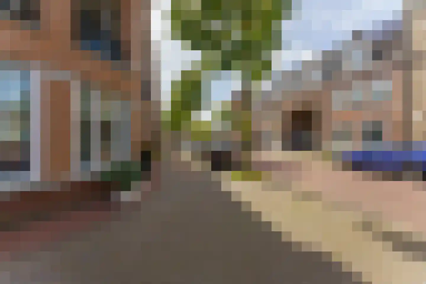 de Plaetse 194 Helmond thumbnail 49