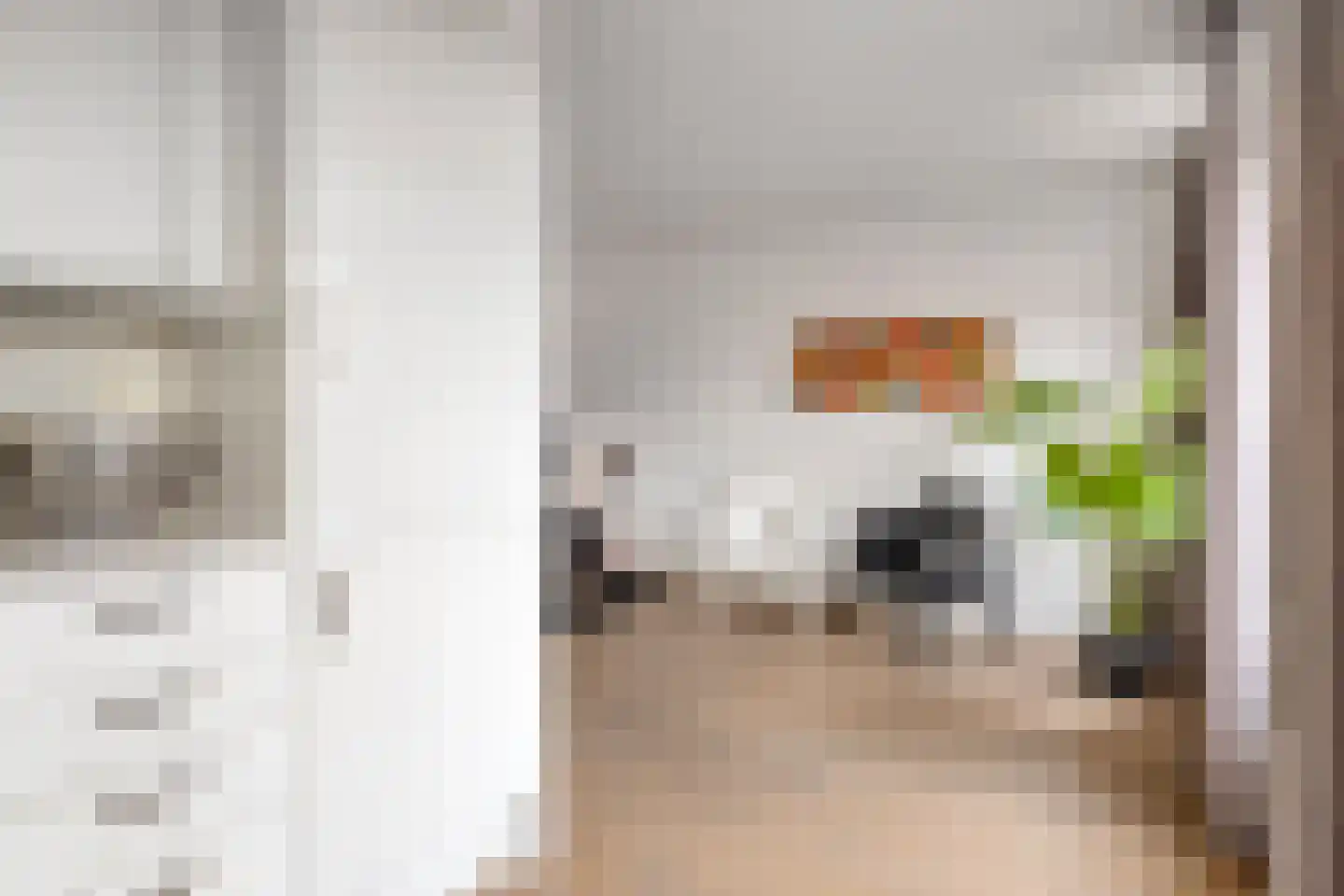 de Plaetse 22 Helmond thumbnail 20