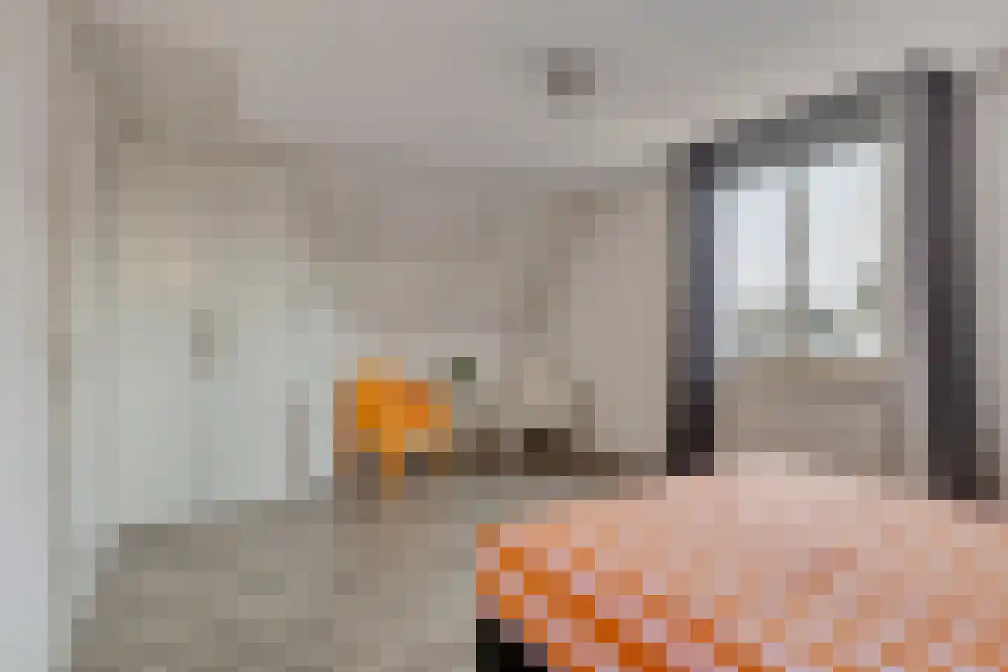 de Plaetse 22 Helmond thumbnail 27