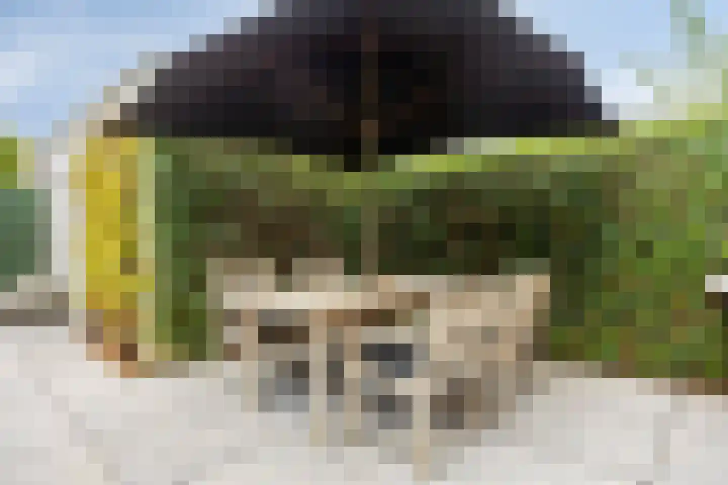 de Plaetse 22 Helmond thumbnail 29