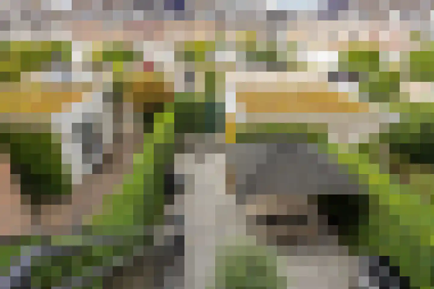 de Plaetse 22 Helmond thumbnail 32
