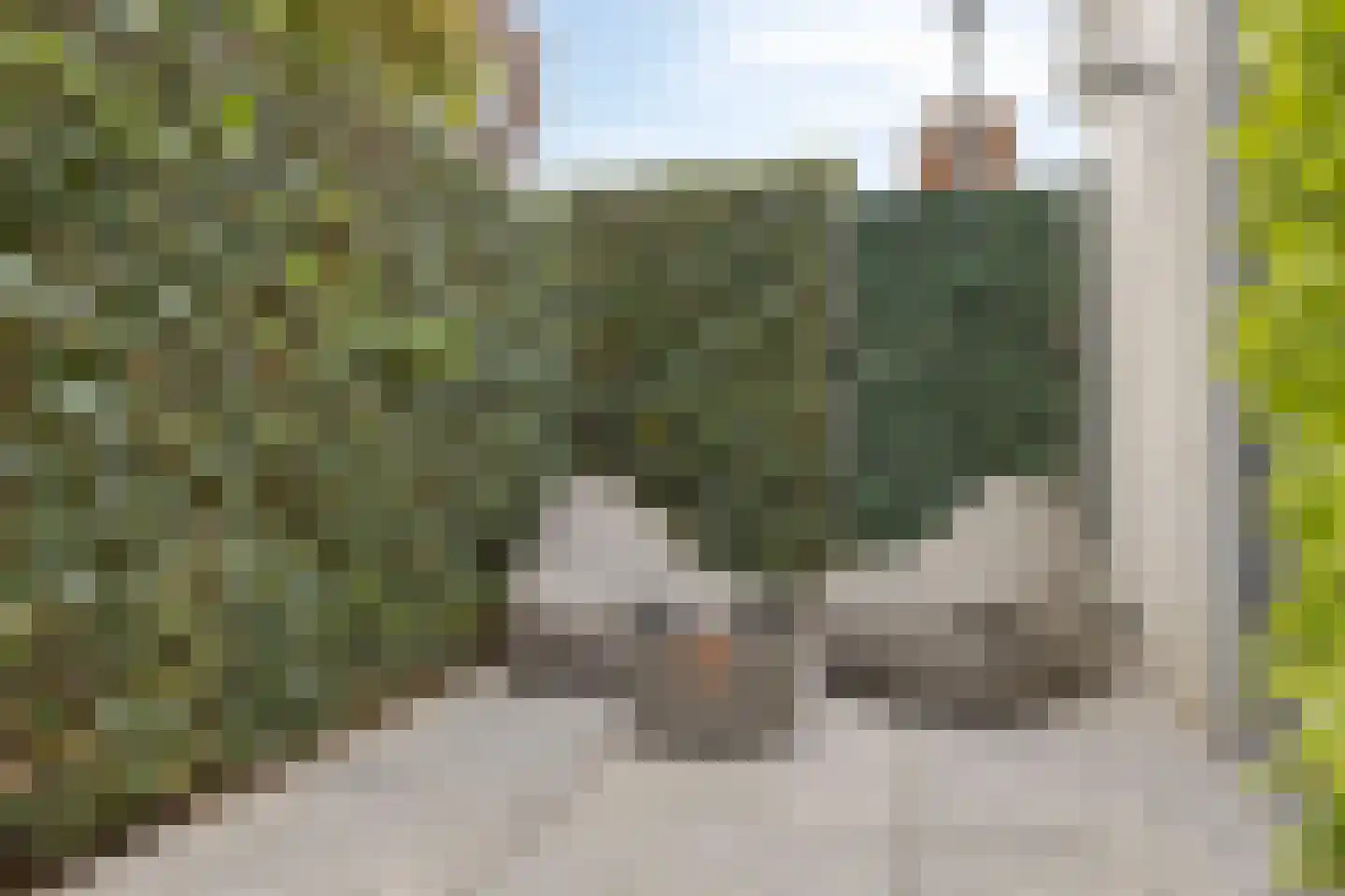 de Plaetse 22 Helmond thumbnail 33