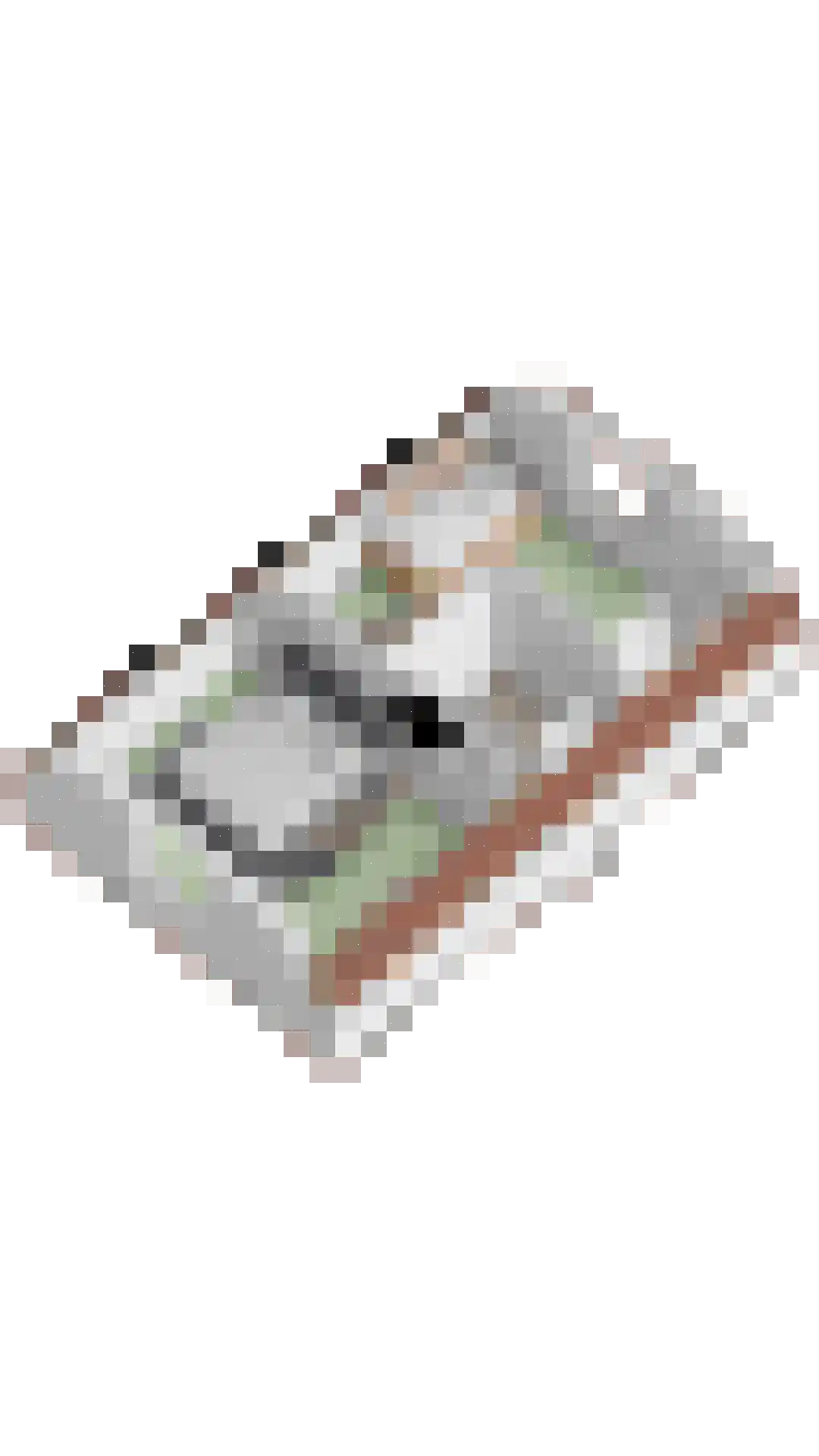 de Plaetse 22 Helmond thumbnail 51