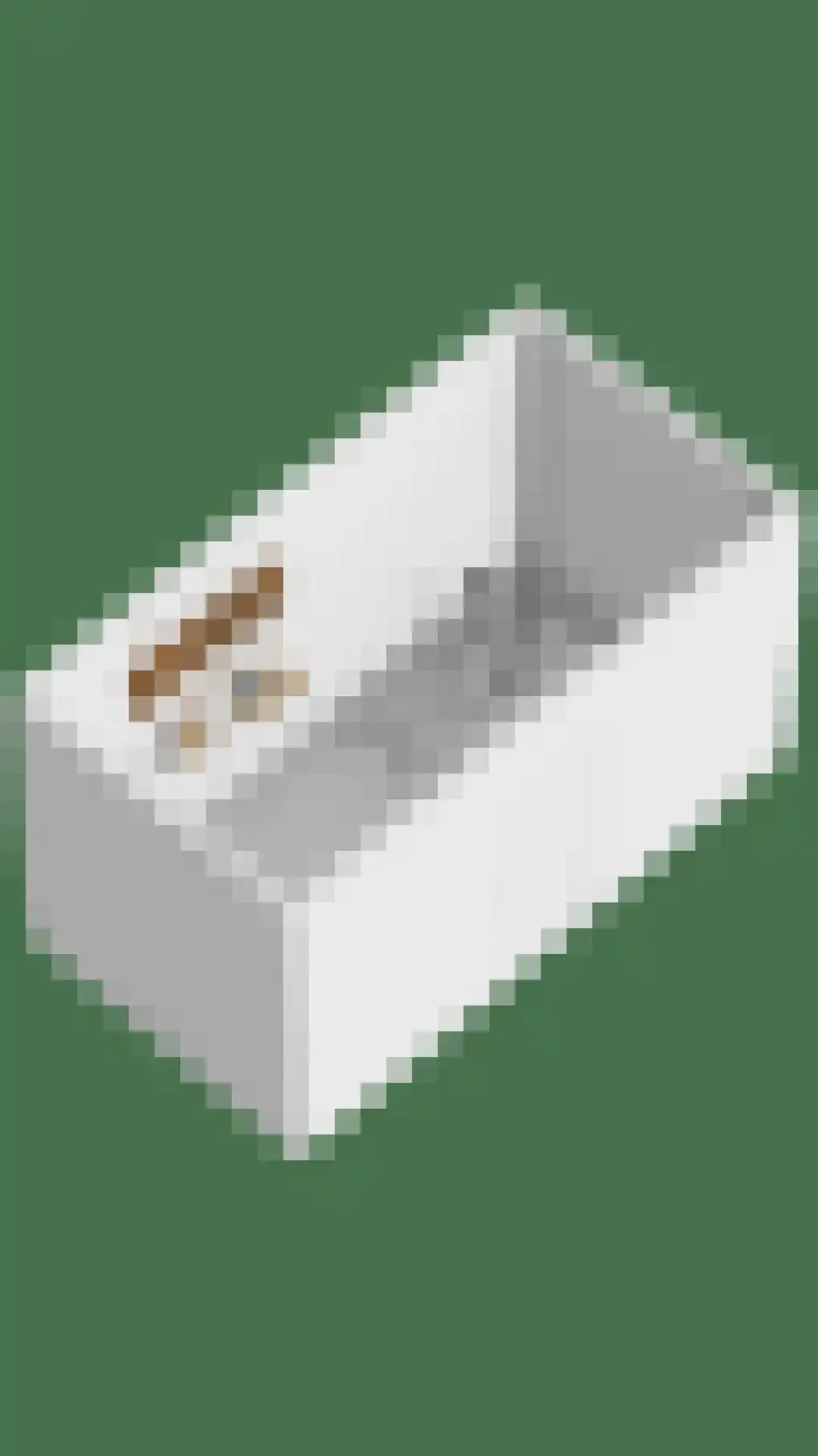 de Plaetse 22 Helmond thumbnail 59