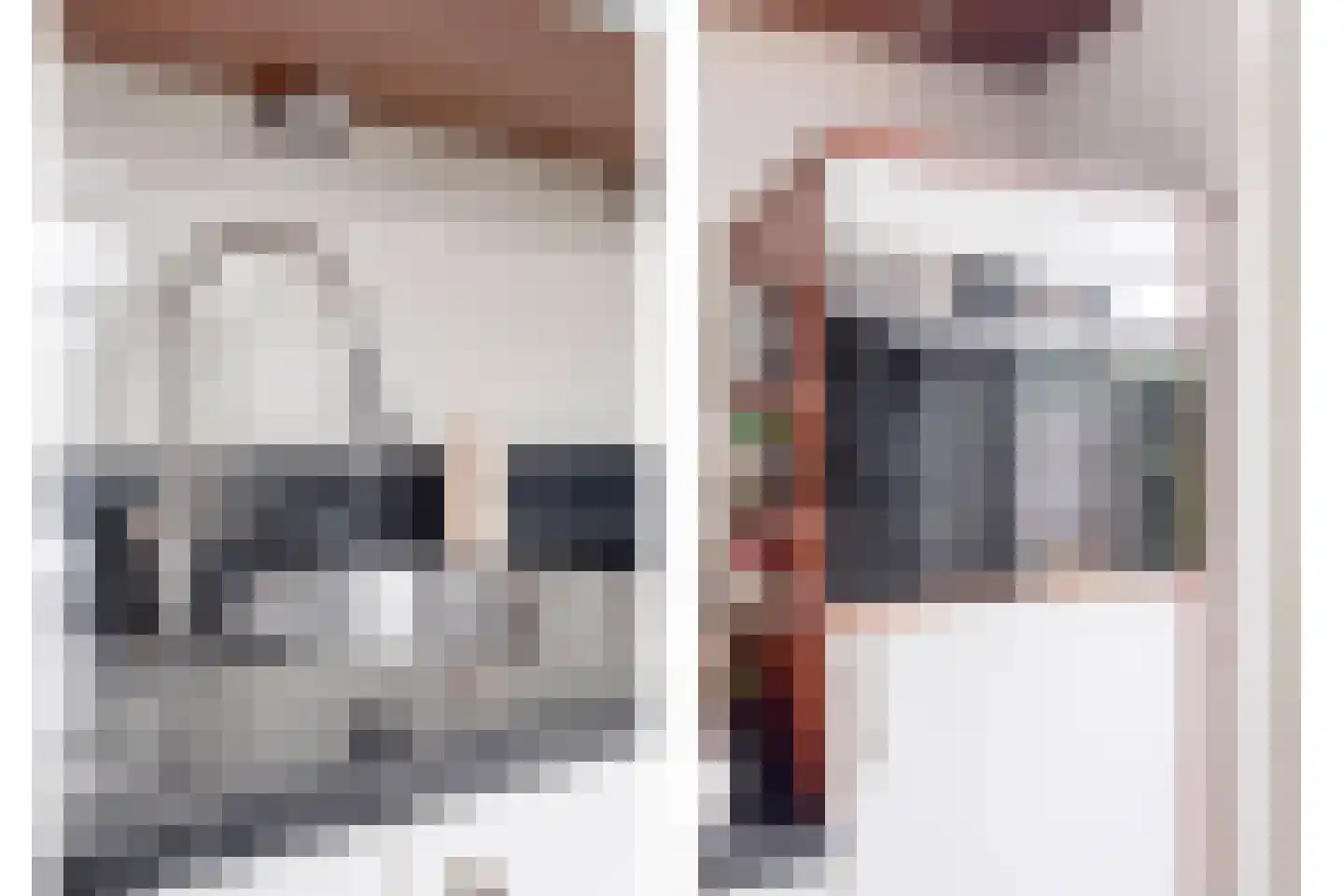 De Plaggenhouwer 19 Grubbenvorst thumbnail 11