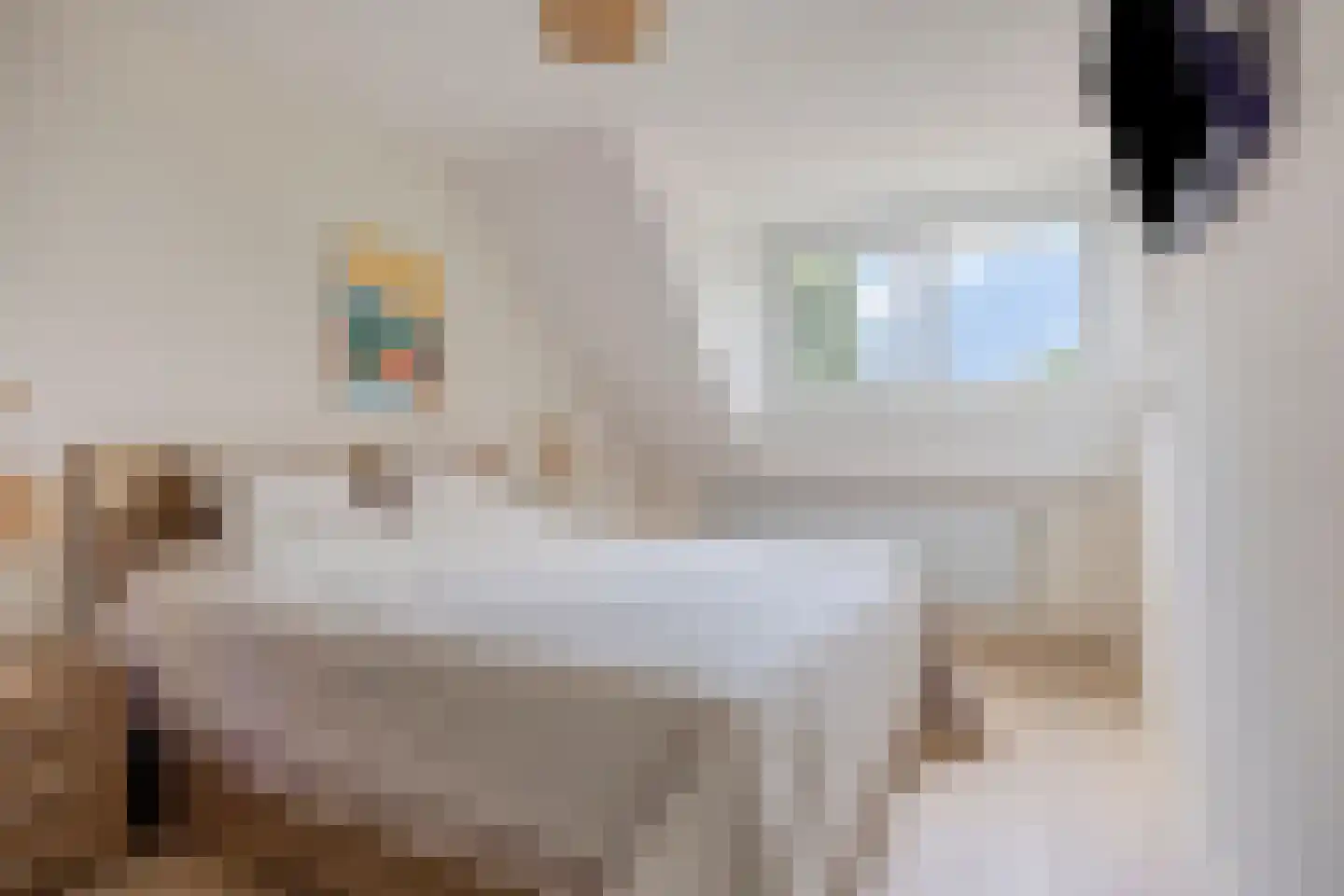 De Plaggenhouwer 19 Grubbenvorst thumbnail 15
