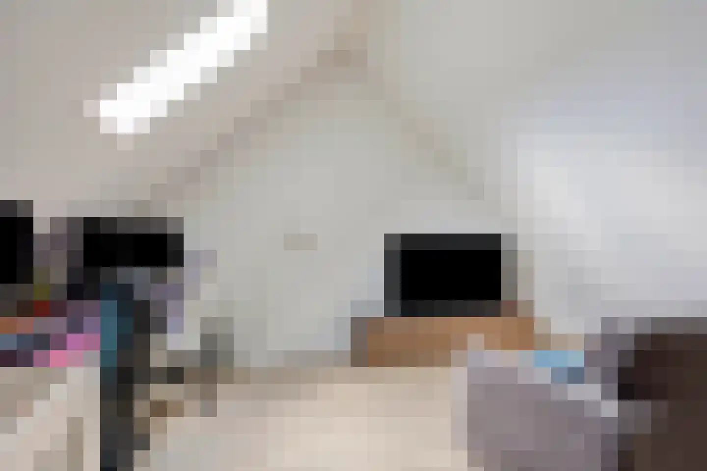 De Plaggenhouwer 19 Grubbenvorst thumbnail 22