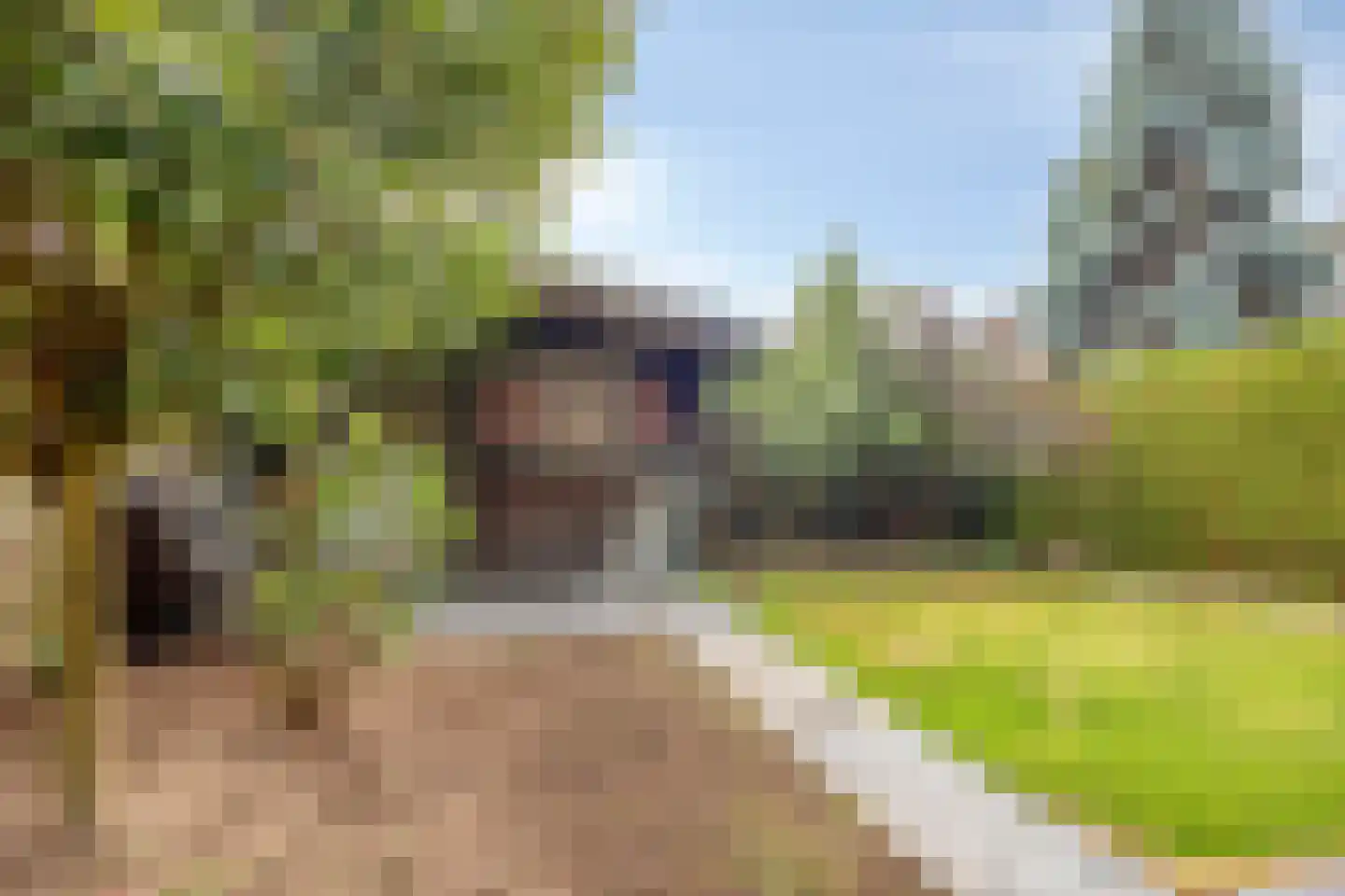 De Plaggenhouwer 19 Grubbenvorst thumbnail 25