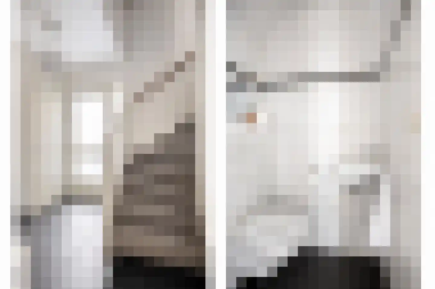 De Plaggenhouwer 19 Grubbenvorst thumbnail 4