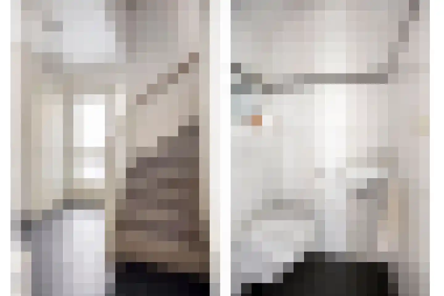 De Plaggenhouwer 19 Grubbenvorst thumbnail 5